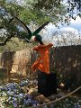 Kids_DFWzoo_3-2016 (4)